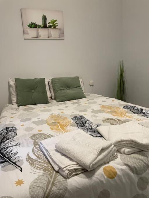 Apartmán Cosy T3 Proche Gare Et Polygone Béziers Exteriér fotografie