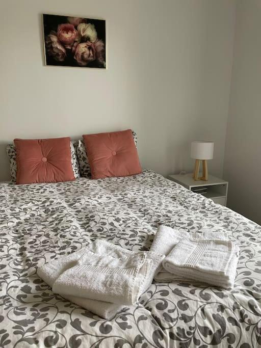 Apartmán Cosy T3 Proche Gare Et Polygone Béziers Exteriér fotografie